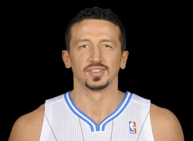 Hedo Turkoglu headshot