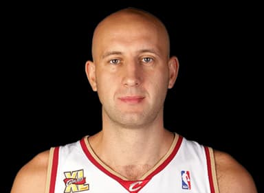 Zydrunas Ilgauskas headshot